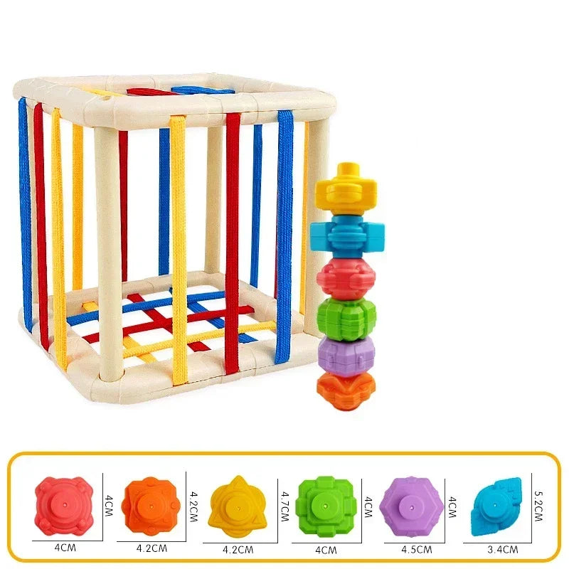 Rainbow Cecele Toddler Fine Motor Grip Training Baby Montessori Early Education Toys