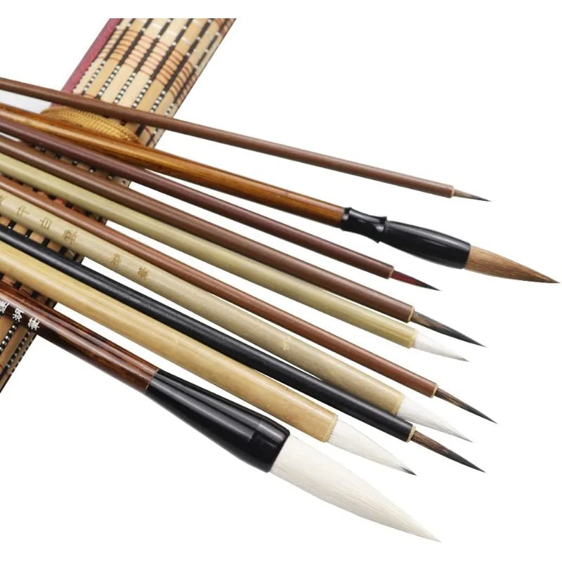 10Pcs Professional Chinese Calligraphy Brushes Set with Storage Bag Traditional Chinese Painting