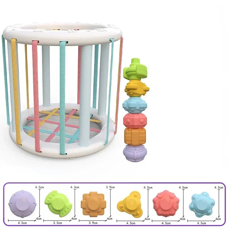 Rainbow Cecele Toddler Fine Motor Grip Training Baby Montessori Early Education Toys