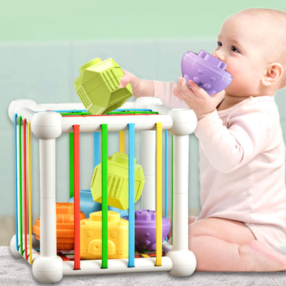 Rainbow Cecele Toddler Fine Motor Grip Training Baby Montessori Early Education Toys